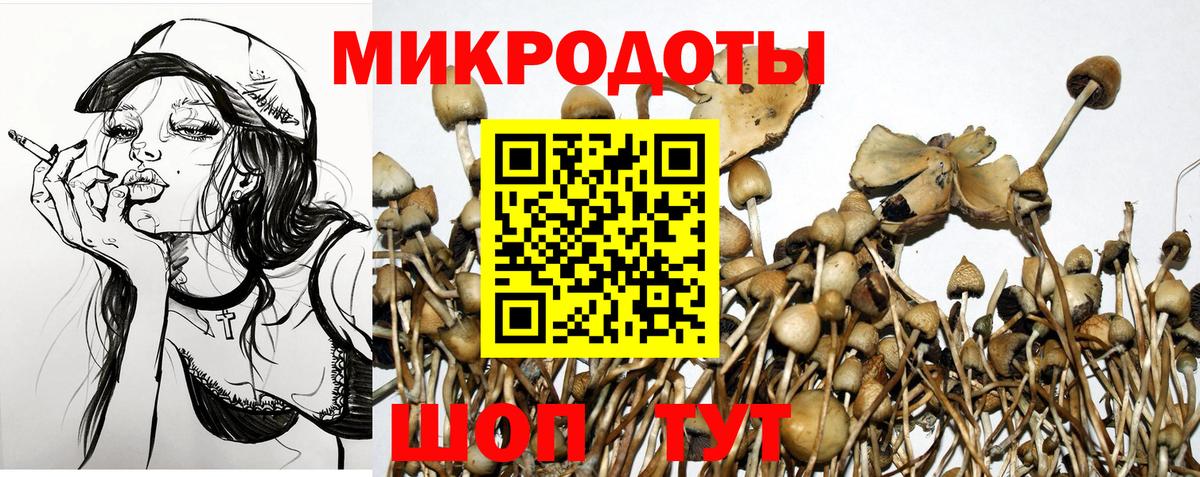 Арсеньев  Псилоцибиновые грибы Magic Shrooms  Псилоцибиновые грибы Psilocybine cubensis  Вход с VPN 